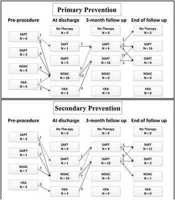 Left Atrial Appendage Closure for Primary and Secondary Stroke Prevention in Patients With Hypertrophic Cardiomyopathy and Atrial Fibrillation: A Pilot Study